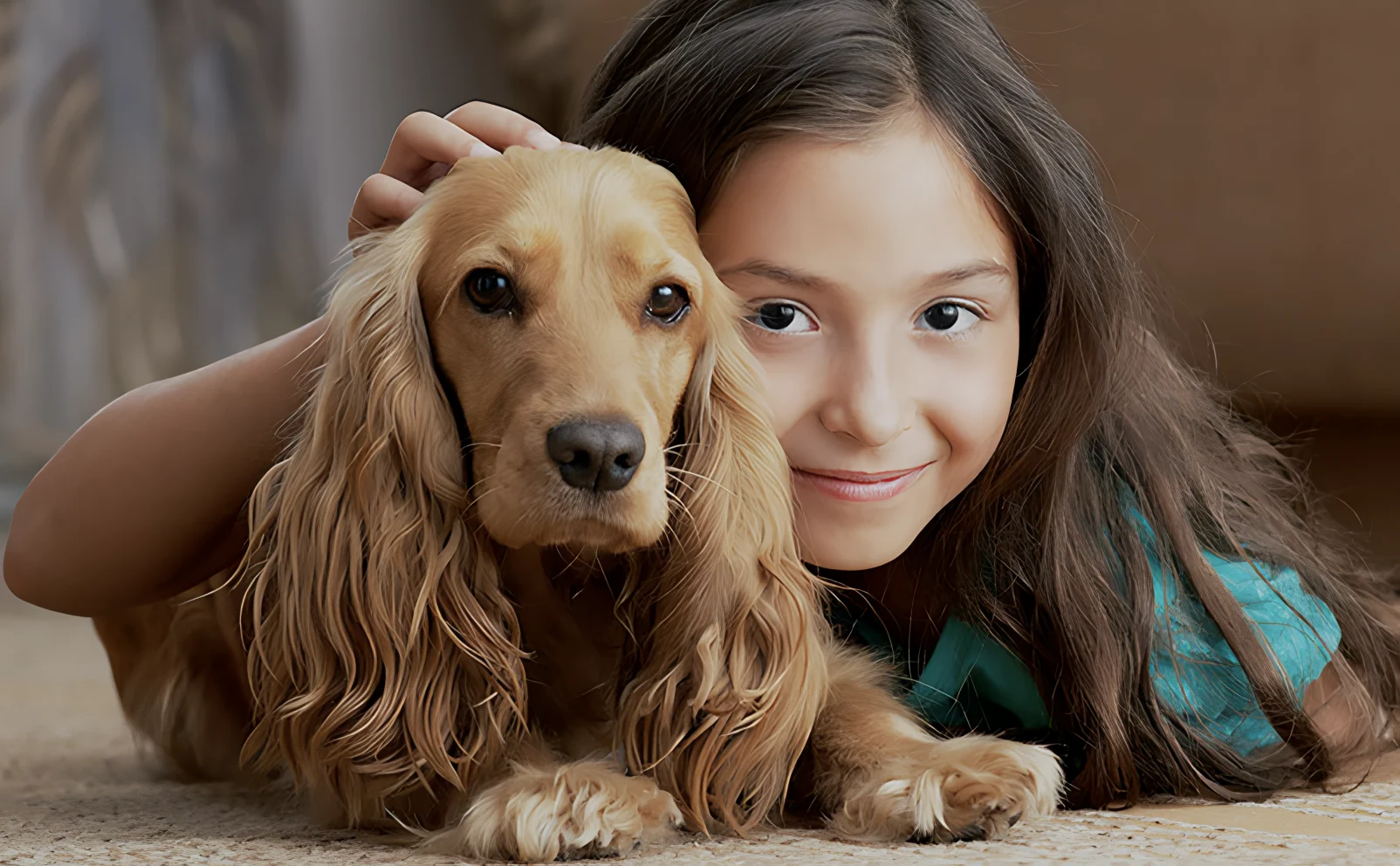 Aggieland Carpet Cleaning. Increased weekly customers by 30%